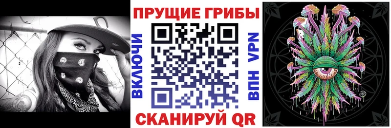 блэк спрут зеркало Талдом Галлюциногенные грибы ЛСД
